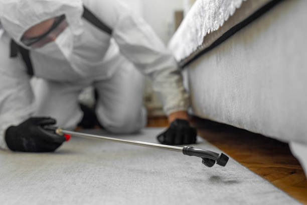 Professional Emergency Pest Control technician working in Pequot Lakes, MN