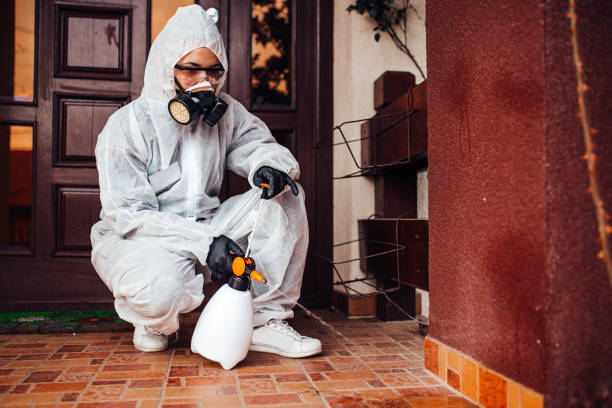 Reliable Emergency Pest Control contractor in Pequot Lakes, MN by Nex Pest Control