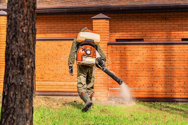 Trusted Emergency Pest Control service in Pequot Lakes, MN - Nex Pest Control